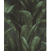 Rasch Back to Nature - 416237
