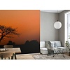Rasch African Queen 3 - 363654 Rasch African Queen 3 - 363654