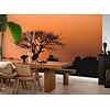 Rasch African Queen 3 - 363647 Rasch African Queen 3 - 363647