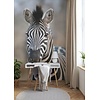 Rasch African Queen 3 - 363623