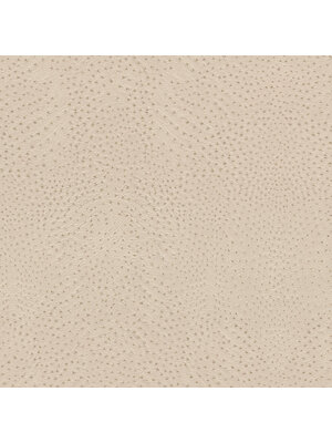 Rasch African Queen 3 - 751512 Rasch African Queen 3 - 751512