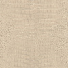 Rasch African Queen 3 - 751345