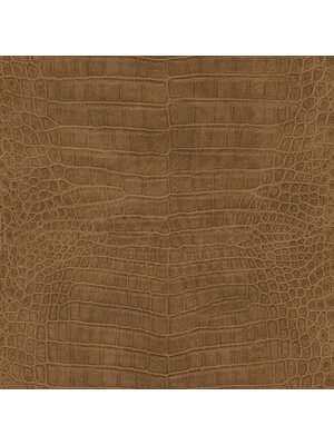 Rasch African Queen 3 - 751314 Rasch African Queen 3 - 751314