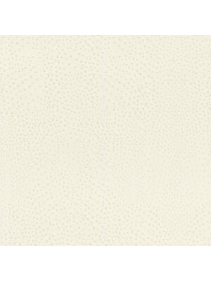 Rasch African Queen 3 - 751536 Rasch African Queen 3 - 751536