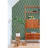 Color Pop - 163-139989