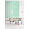 Color Pop - 163-139999