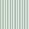 Color Pop - 163-130953