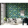 Colour 2 - 111761 Colour 2 - 111761