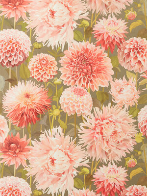 Colour 2 - 112845 Colour 2 - 112845