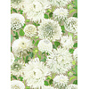 Colour 2 - 112844 Colour 2 - 112844