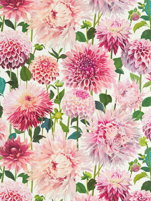 Colour 2 - 112843 Colour 2 - 112843