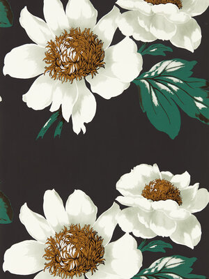 Colour 2 - 112841 Colour 2 - 112841