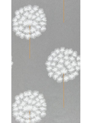 Colour 2 - 111888 Colour 2 - 111888