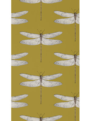 Colour 2 - 111244