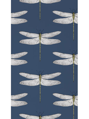 Colour 2 - 111243