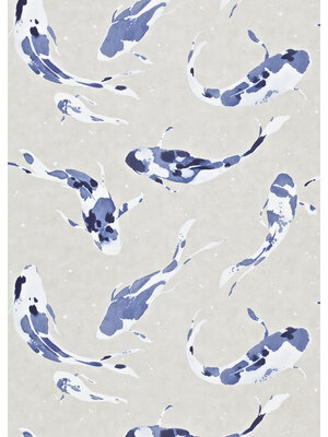 Colour 4 - 110902