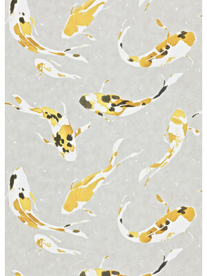 Colour 4 - 110901