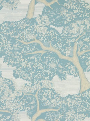 Colour 4 - 113023 Colour 4 - 113023