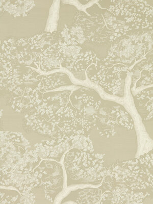 Colour 4 - 113022 Colour 4 - 113022