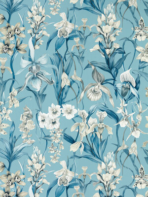 Colour 4 - 113008
