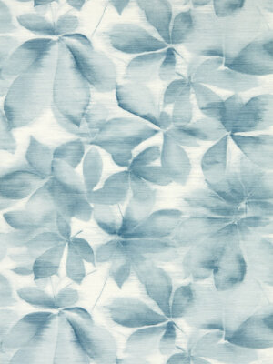 Colour 4 - 113006 Colour 4 - 113006