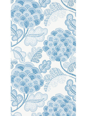 Colour 3 - 112936