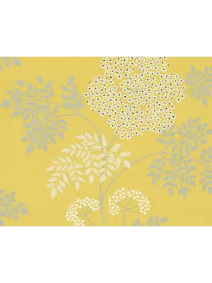 One Sixty - DOPWCO105