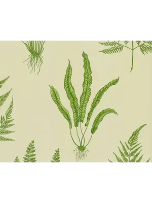 One Sixty - DAPGWO102