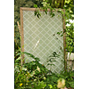 Country Woodland - 217436 Country Woodland - 217436