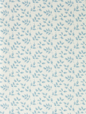 Country Woodland - 217421