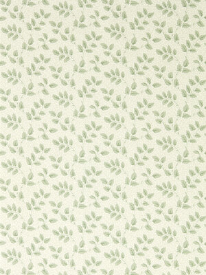 Country Woodland - 217419