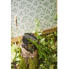 Country Woodland - 217419