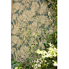 Country Woodland - 217418 Country Woodland - 217418