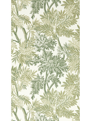 Country Woodland - 217416