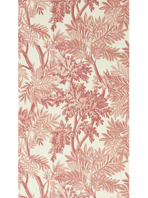 Country Woodland - 217415