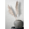 Noordwand City Romance Behang met lichte beton structuur - 35135