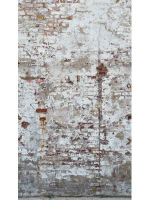Livingwalls The Wall 2 - 39238-1 Livingwalls The Wall 2 - 39238-1