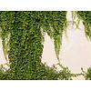 Livingwalls The Wall 2 - 39227-1