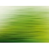 Livingwalls The Wall groen behang | 382611 Livingwalls The Wall groen behang | 382611