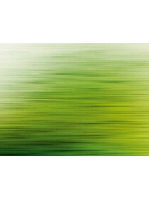 Livingwalls The Wall groen behang | 382611 Livingwalls The Wall groen behang | 382611