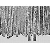 Livingwalls The Wall zwart behang | 382591 Livingwalls The Wall zwart behang | 382591