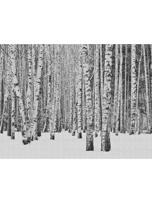Livingwalls The Wall zwart behang | 382591 Livingwalls The Wall zwart behang | 382591