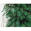Livingwalls The Wall groen behang | 382411
