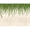Livingwalls The Wall groen behang | 382391 Livingwalls The Wall groen behang | 382391