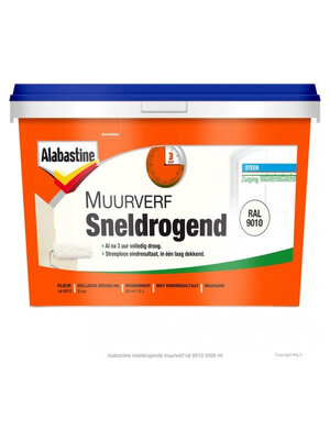 Alabastine Sneldrogende Muurverf - RAL 9010 Alabastine Sneldrogende Muurverf - RAL 9010