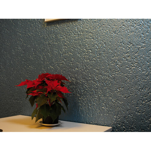 Inhoud: 2.7 liter, Kleur: MetallicSigmulto