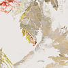 Noordwand Komar Raw Fotobehang Golden Feathers - RSX6-038