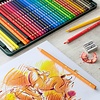 Polychromos houten kist - 48 stuks + accessoires