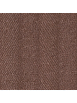 Rasch Amara - 720365