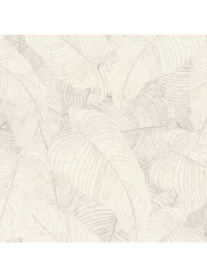 Rasch Amara - 720525